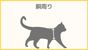 猫のサイズの測り方：胴回り