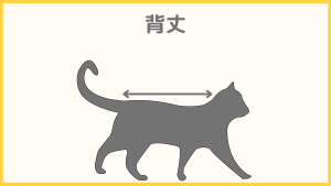 猫のサイズの測り方：背丈