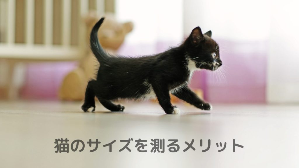 猫のサイズを測るメリット