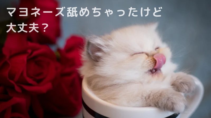 猫がマヨネーズを舐めちゃったけど大丈夫？